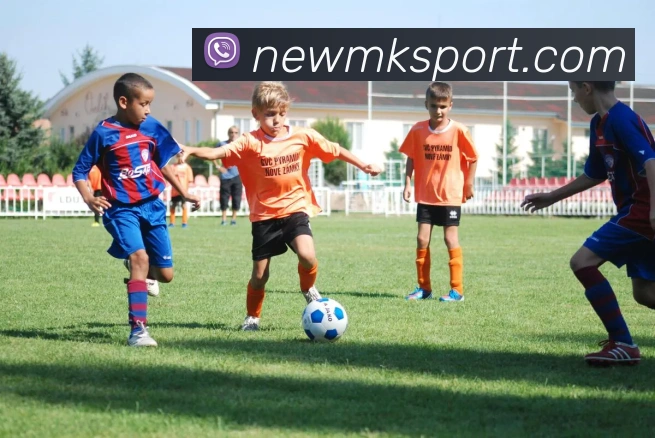 MK体育服务体系